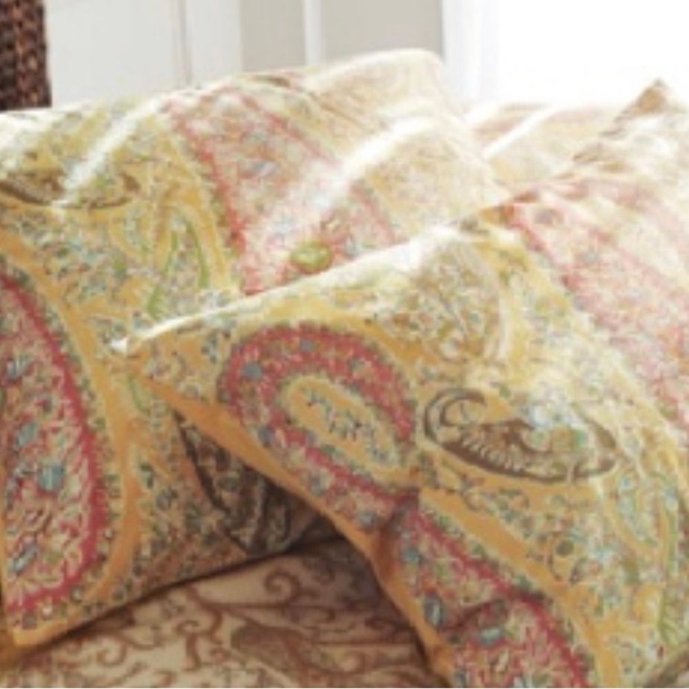 Pottery Barn Paisley King Duvet Cover & 2 Standard Shams